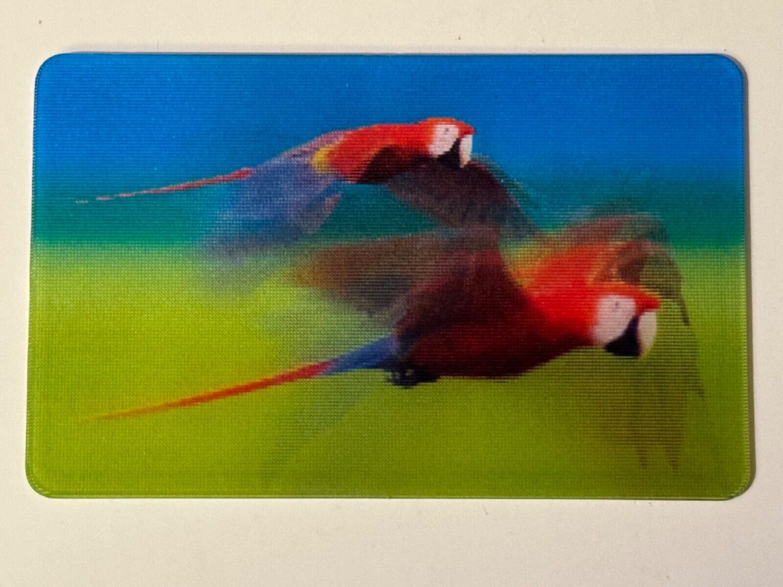 Bild 49 von 100
