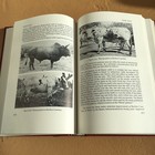 Foto 11 di 13