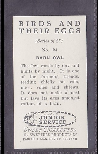BARN OWL - 60 + year old English Trade Card # 24 - Picture 2 of 2