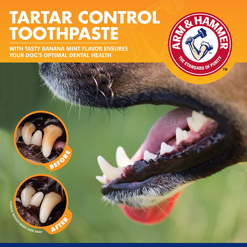for Pets Tartar Control Kit for Dogs | Contains Toothpaste, Toothbrush & Fingerb - Picture 5 of 12