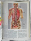 Bild 7 von 11
