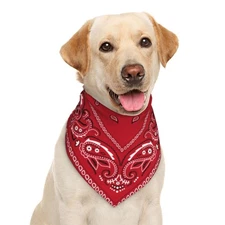 Red Paisley Dog Bandana, Triangle Bib, One Size Fits Most, Scarf, Cat, Pet
