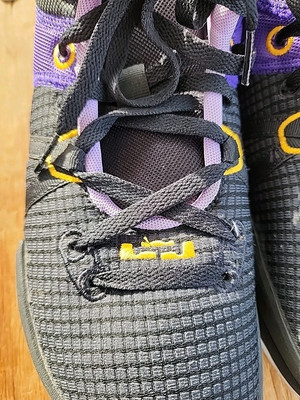 Nike LeBron Witness 7 Lakers Black/Purple/Gold Basketball