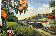 Vintage Streamliner Orange Blossom Train Tropical Florida Postcard Colortone