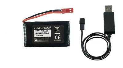 Battery & Charger Set 750mAh for Stunt Racing RC Car Remote Control Double Sided