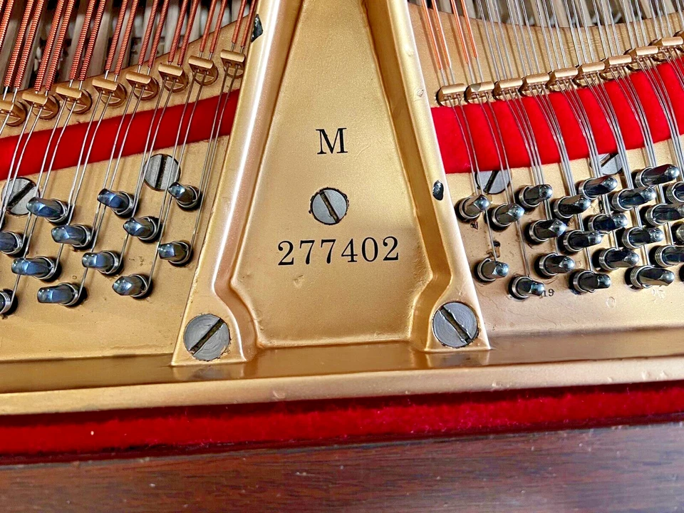 Piano de cola Steinway modelo M 1933 5'7" caoba - sala de exposición perfecta Foto 2 de 4