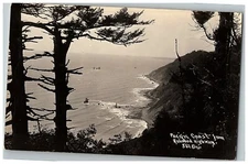 c1904-50 Pacific Coast From Redwood Highway Real Photo Postcard Rppc California