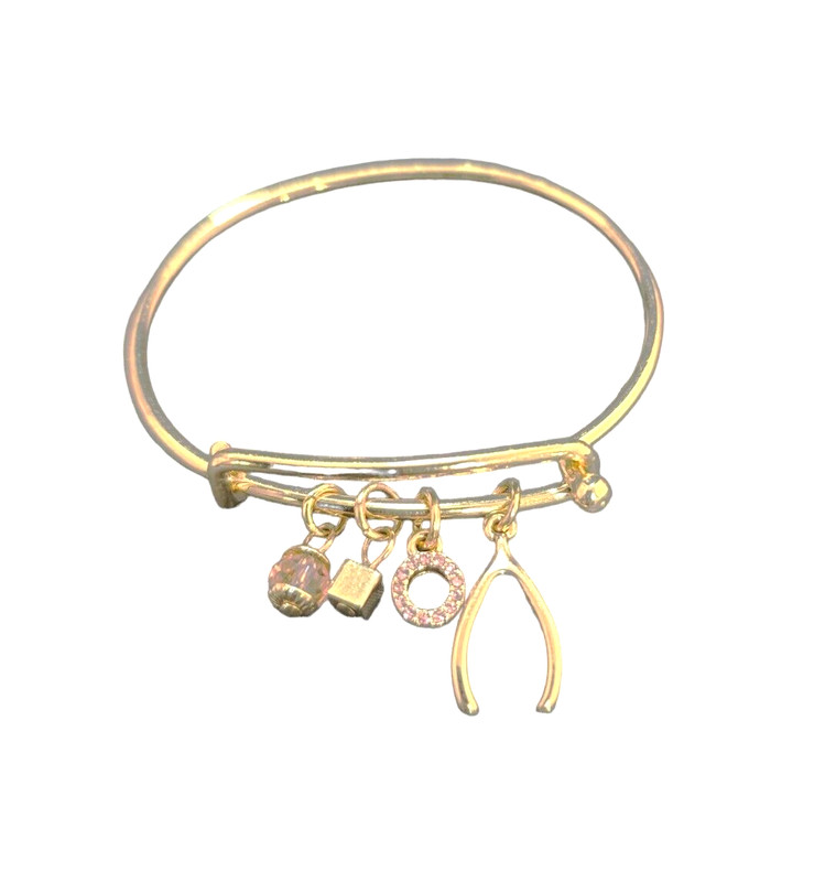 Women's Charm Bracelet Gold Plated Pink Rhinestone Wishbone Nwot - Product main view