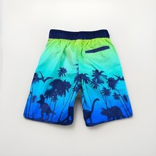 Boys Bathing Suit Size M 8 10 Cat  Jack Dinosaur Print Shorts Trunks Beach