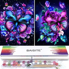  Paint by Numbers Kit for Adults Beginners,12" Wx16 L 2 Pack Canvas for 