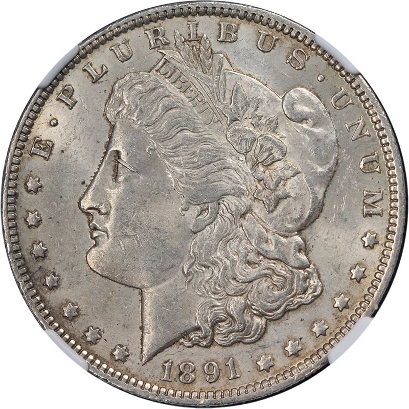 MS 61 Graded 1891 Year Morgan US Dollars (1878-1921) for sale | eBay