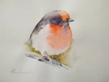  Red Robin, Birds, Watercolor artwork, Handmade, Original painting on paper