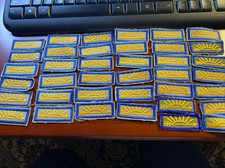 Current Style Boy Cub Scout BSA Arrow Of Light Uniform Patch See Description