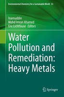 Water Pollution And Remediation: Heavy Metals Inamuddin