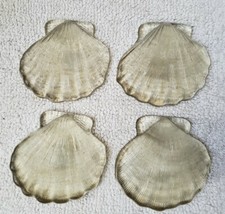 Glass Scallop Seashell Nautical Beach Decor 4