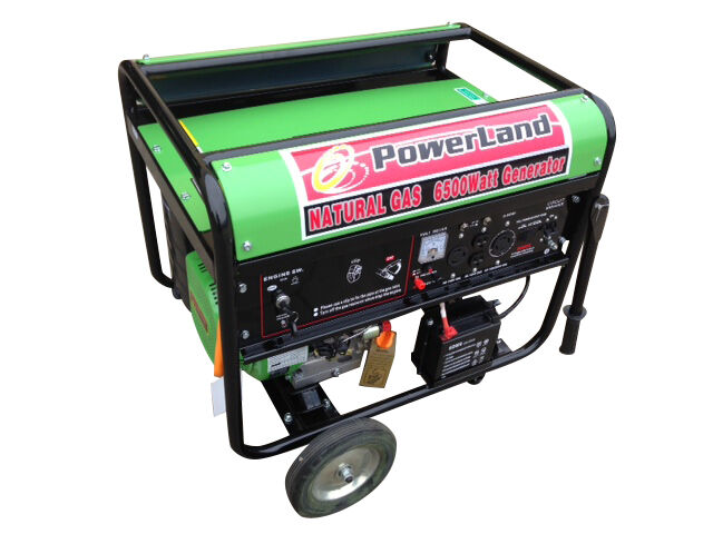 Powerland PDN6500E 6500 Watt 16 HP Generator for sale online | eBay