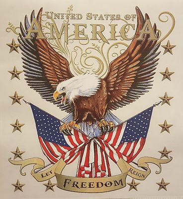 ALL AMERICAN OUTFITTERS UNITED STATES OF AMERICA EAGLE HOODED SWEATSHIRT  HOODIE