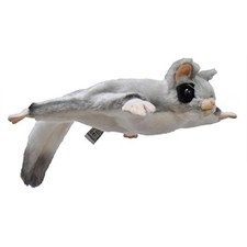 BH4692 HANSA Sugar glider 35