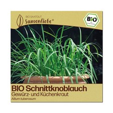Samenliebe BIO Schnittknoblauch Samen Küchenkraut - winterhart & mehrjährig