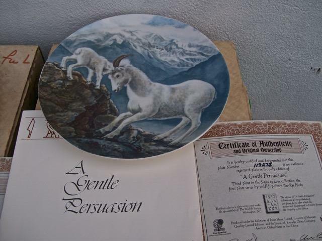 Picture 4 of 12
