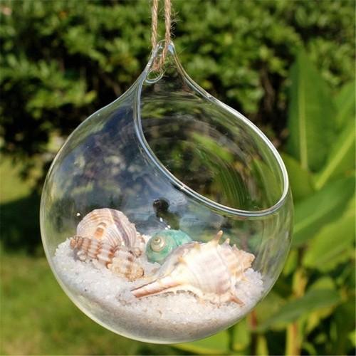 Versatile 3-Pack 4.7 Inch Hanging Glass Orbs for Succulents and Air Plants - Picture 10 of 11