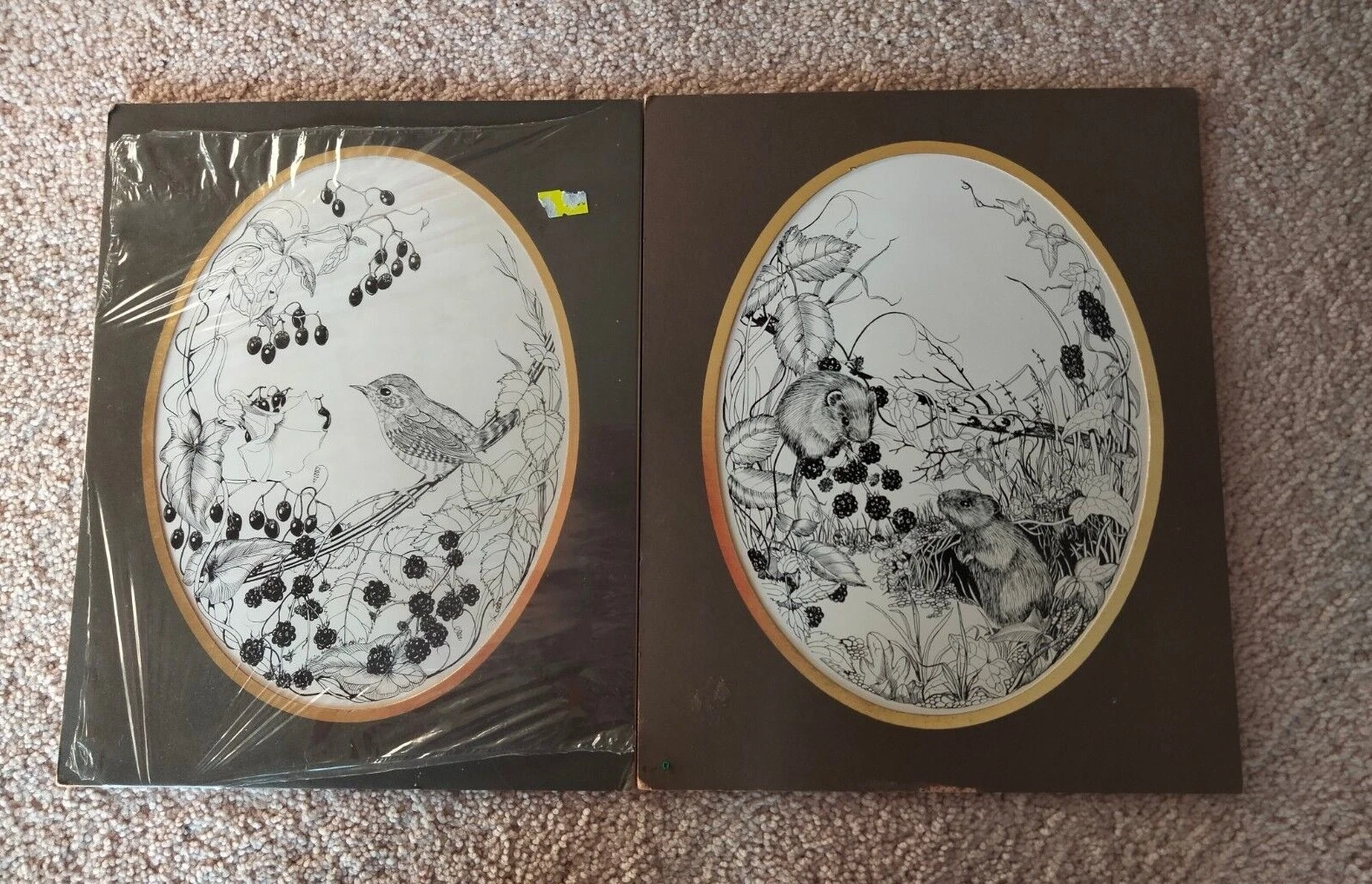 Picture 1 of 11