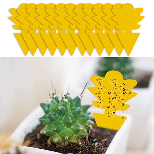 12/24/48PCS Double-sided Sticky Trap Insect Mosquito Flies Trap Plant Fly Traps - Picture 31 of 75