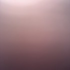 Bild 5 von 8