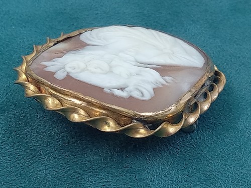 Estate Lovely Shell Cameo Pin in Ornate gold over brass setting : 1 5/8"x 1.5" - Picture 4 of 10