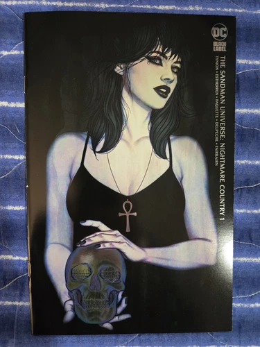 THE SANDMAN UNIVERSE NIGHTMARE COUNTRY #1 FRISON FOIL CON VARIANT LA MOLE