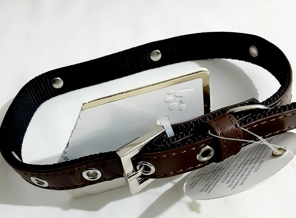 B&m dog best sale leads
