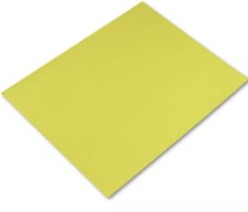 Pacon 54721 Four-Ply 22 in. x 28 in. Railroad Board - LY 25/Carton New