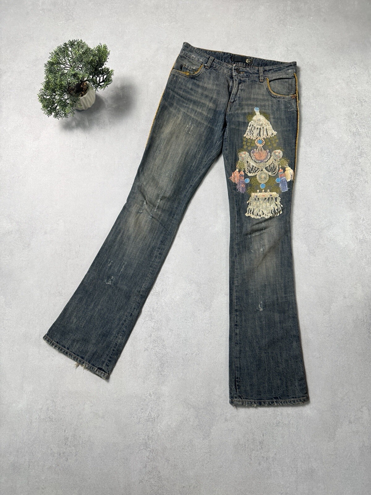 JUST CAVALLI LOW WAISTED JEANS WOMEN'S  Distressed Size 27 Avant Garde