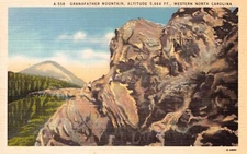Grandfather Mountain Banner Elk The Pedalin' Pig Owl's Nest Vtg Postcard CP393