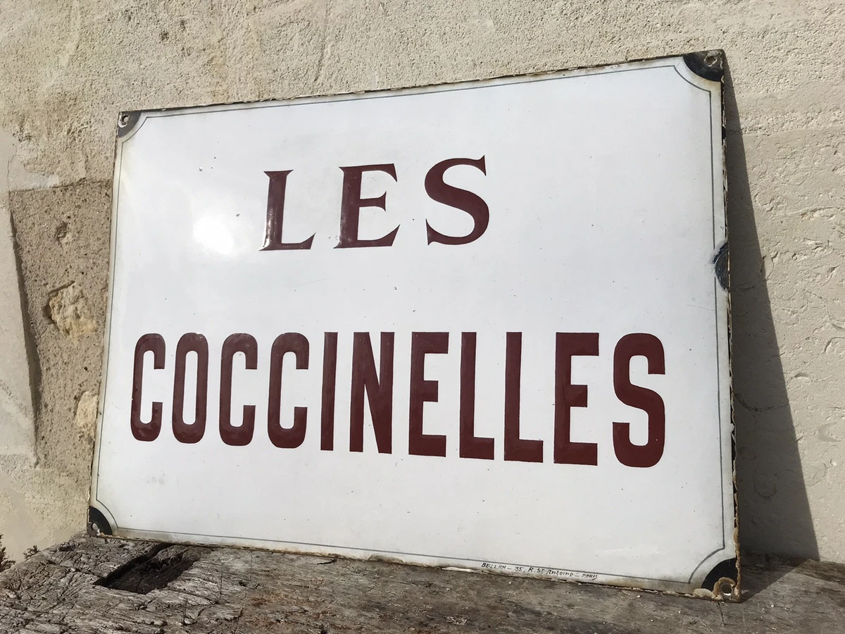 Plaque émaillée MAGGI - Collection