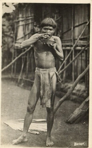 PC BORNEO MALAYSIA DAYAK NATIVE MAN EATING REAL PHOTO POSTCARD (b71797)