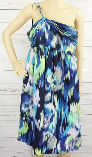 Ann Taylor Loft Dress Womens 12 Blue 
