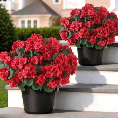 GLIDL 2 Pa Artificial ranium Flowers itary Trees for Outdoors,