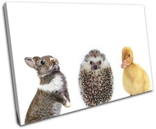 Baby Animal Farm Rabbit Duck Animals SINGLE CANVAS WALL ART Picture Print