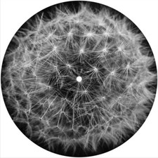 Slipmat Slip Mat Pad Felt for 7" Turntable 45 DJ Vinyl Record Player DANDELION