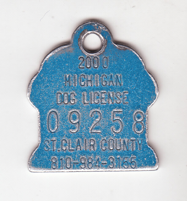 2000 CLAIR COUNTY MICHIGAN DOG LICENSE TAG #09258