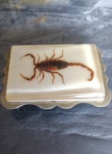 Scorpion Belt Buckle Real Set In Resin Inset Into Square Silver Tone Buckle