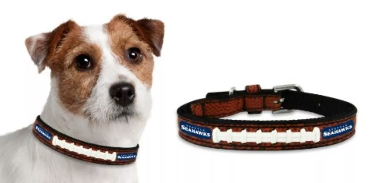 Seahawks top dog collar