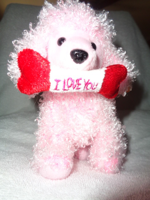 pink poodle beanie baby