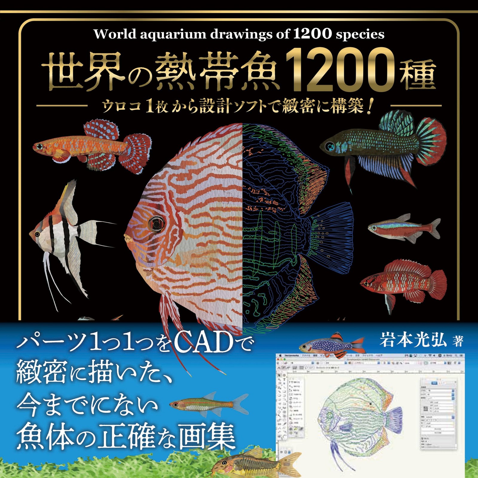 1200 Tropical Fish: Precision Design Software for Every Scale!