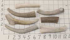 7 Deer Antler Dog Chew Treats