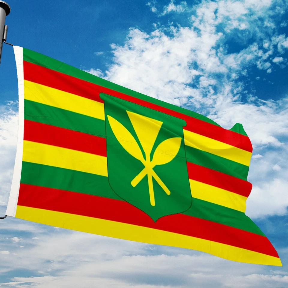 Bandera Kanaka Maoli 3x5' Original Nativo Hawaiano Verdadero Pueblo Hawaiano Kamehameha Foto 2 de 4