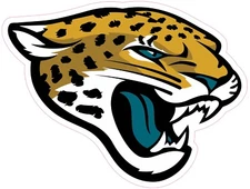 (NOT A PATCH) Jacksonville Jaguars Football HTV Heat Transfer Vinyl Iron On