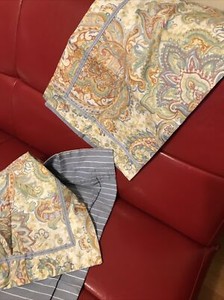 Charter Club Collection Paisley Cotton Standard Shams EUC