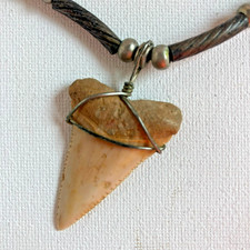 Necklace VTG Shark Tooth and Beads on Cord 22"